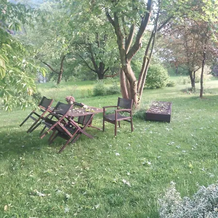Wolscy Blachnickiego 3