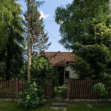 Wolscy Blachnickiego 3 *