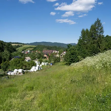 Wolscy Blachnickiego 3