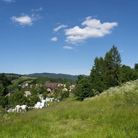 Apartamento Wolscy Blachnickiego 3