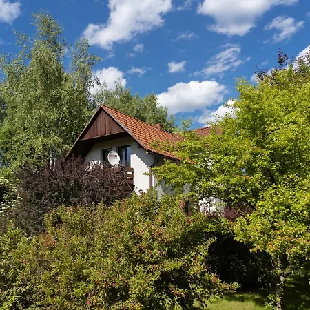 Wolscy Blachnickiego 3